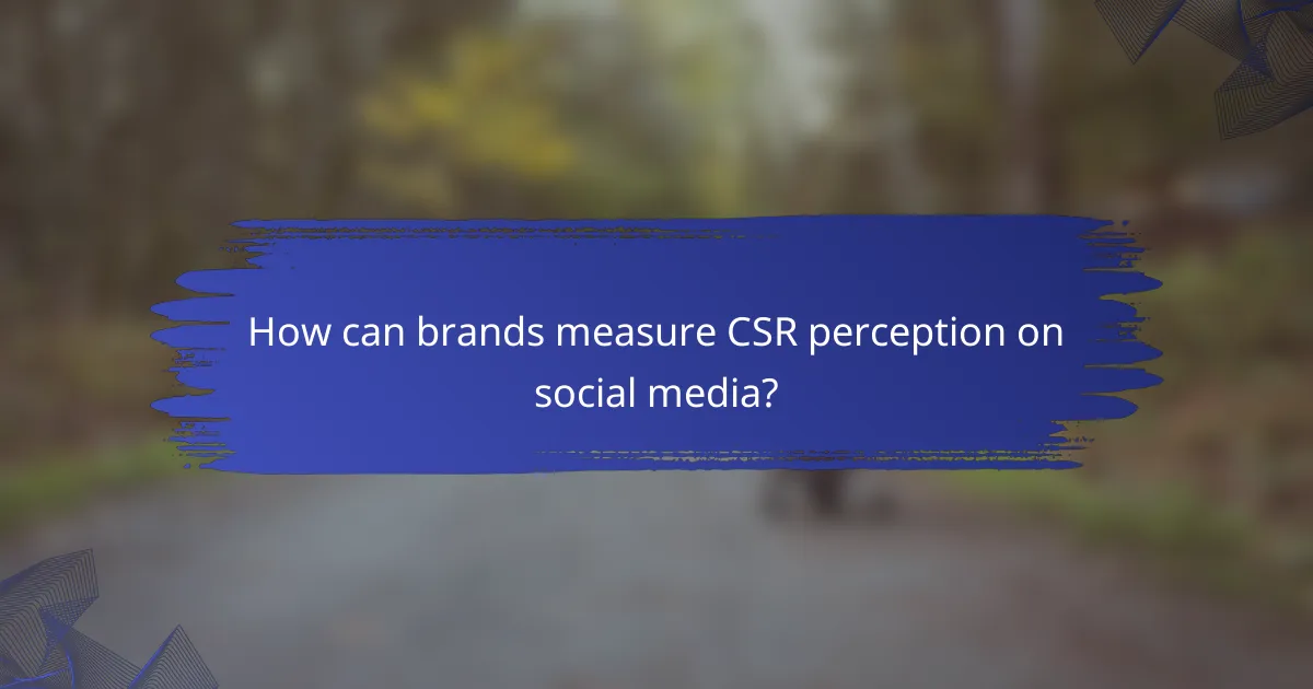 How can brands measure CSR perception on social media?