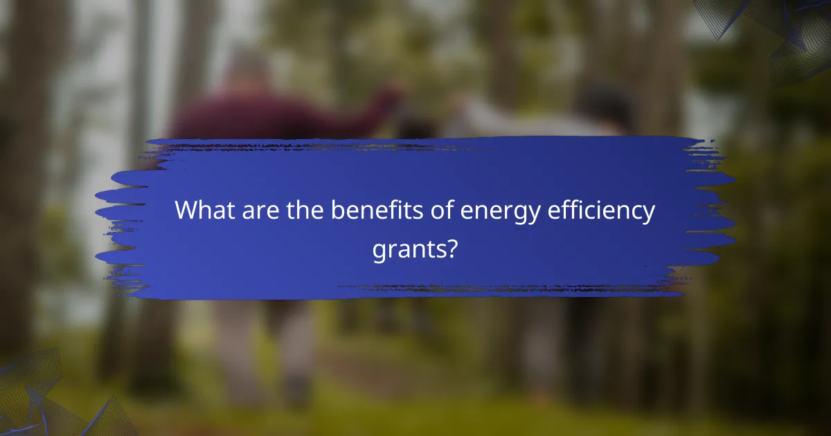 What are the benefits of energy efficiency grants?