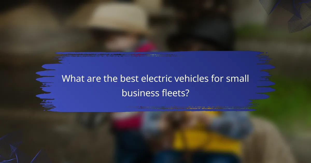 What are the best electric vehicles for small business fleets?