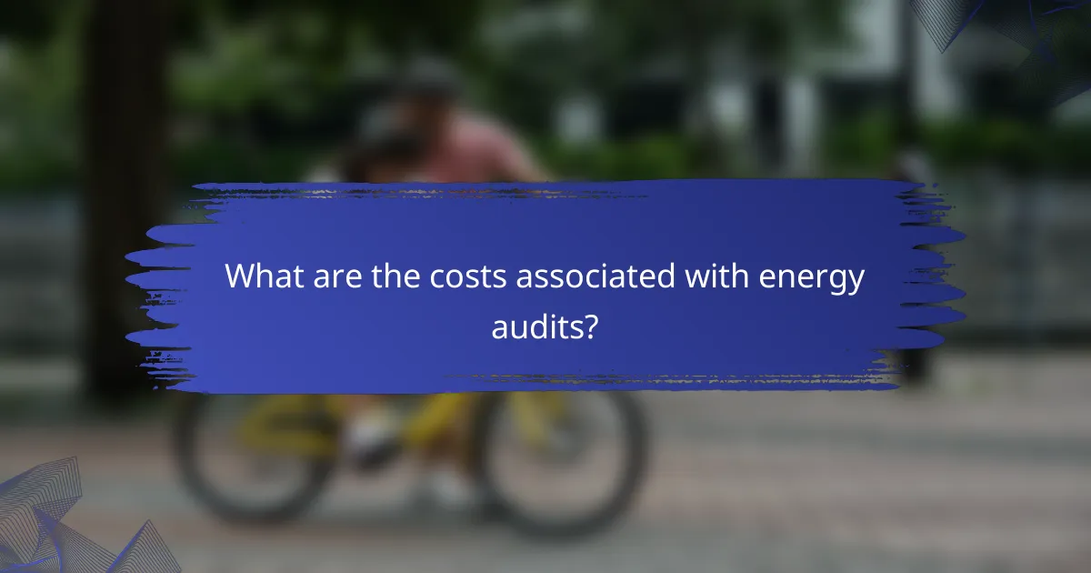 What are the costs associated with energy audits?