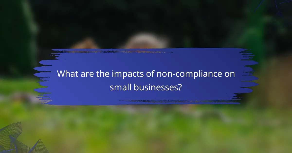 What are the impacts of non-compliance on small businesses?