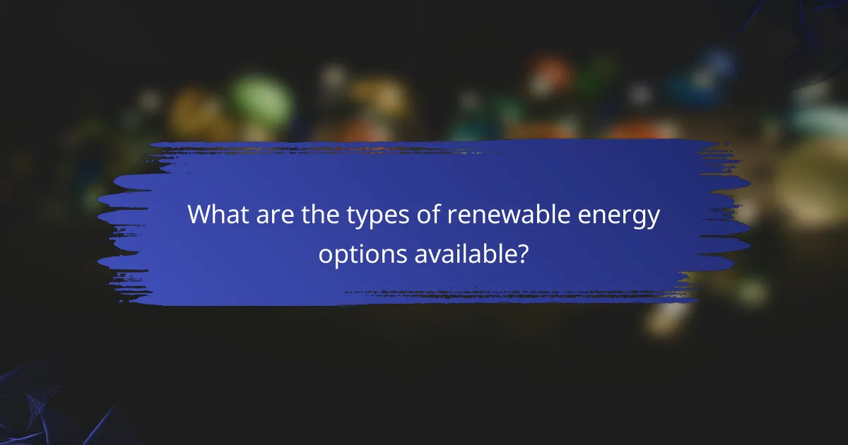 What are the types of renewable energy options available?