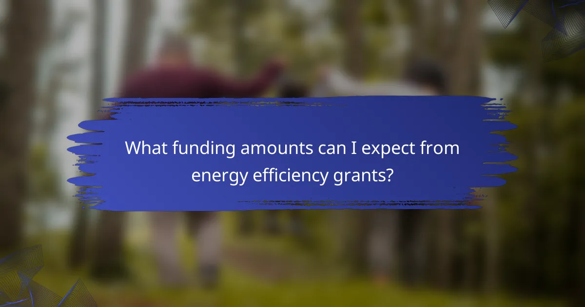 What funding amounts can I expect from energy efficiency grants?