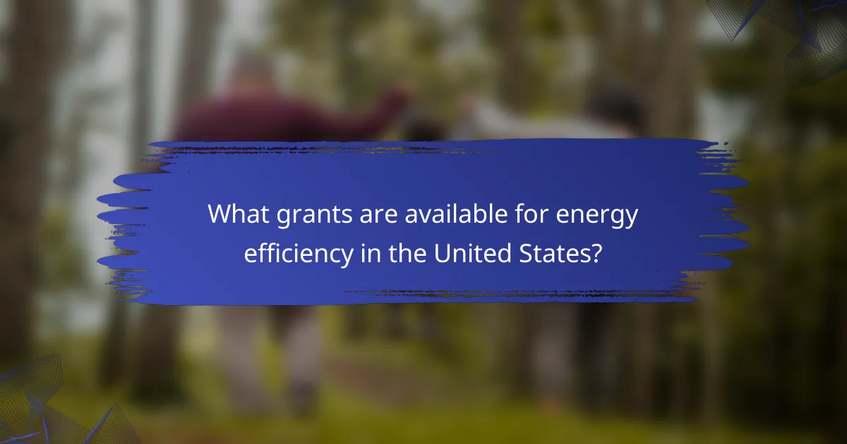 What grants are available for energy efficiency in the United States?