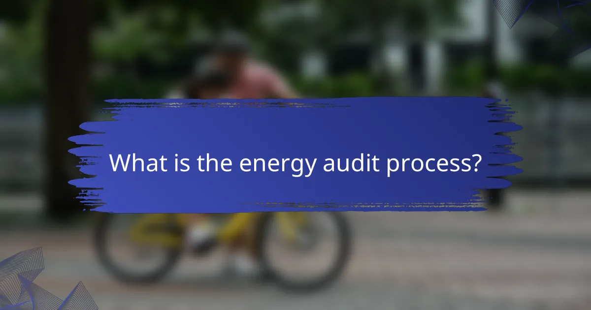 What is the energy audit process?