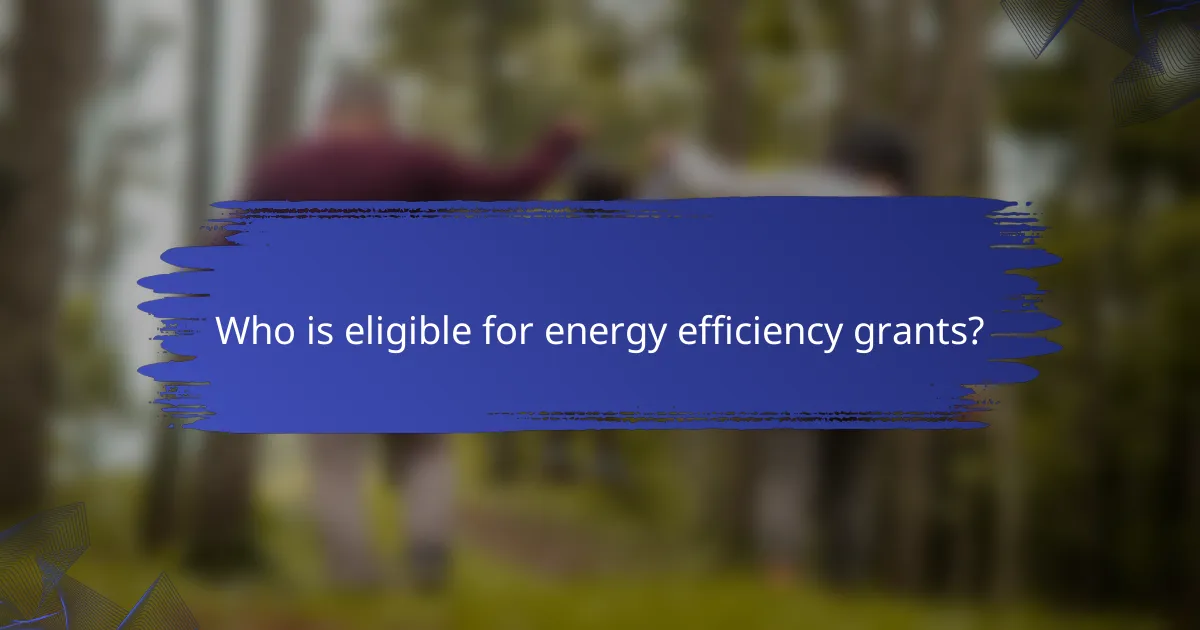 Who is eligible for energy efficiency grants?